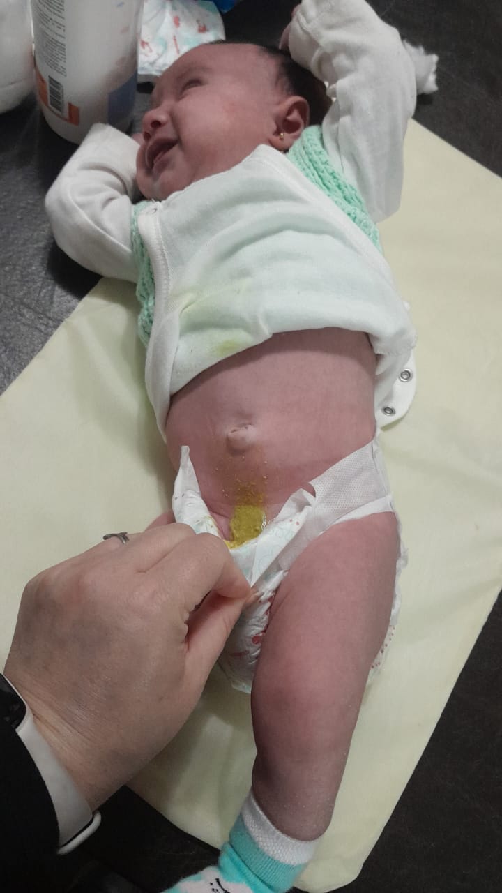 WhatsApp Image 2024-09-03 at 21.12.14.jpeg